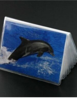 recharge plastique porte cartes fidélités carte visite